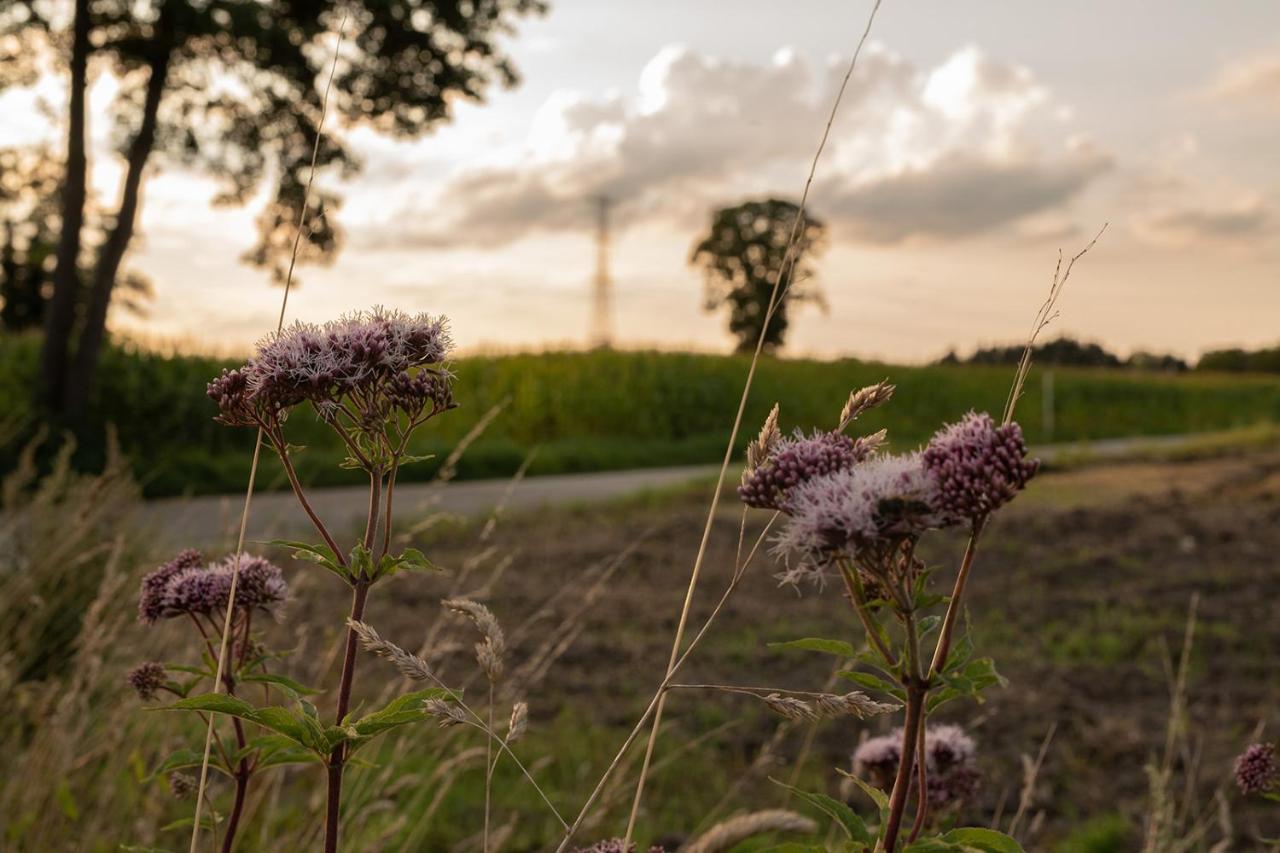 Villa Veld En Velo Bree Exteriér fotografie